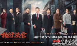 执法者电视剧,正义与勇气的较量