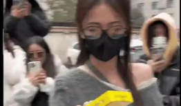 最新吃瓜爆料视频开火车,最新爆料视频背后的惊人真相